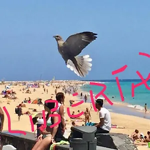  Сasa de vacaciones Il Paradiso Esiste